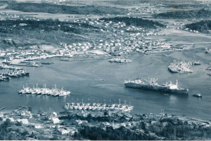 Bilde av Indre havneområdet i 1950-51
